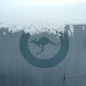 Snow sitting on RAAF roundel on aircraft